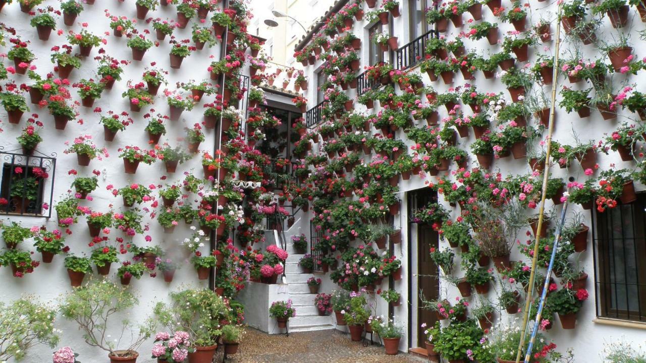 El balcón de la Mezquita Apartamento Córdova Exterior foto